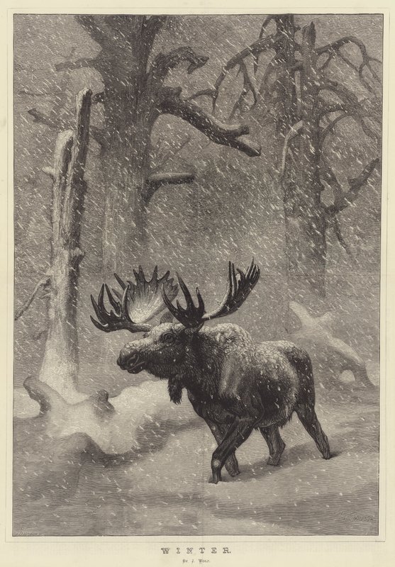 Hiver - Joseph Wolf