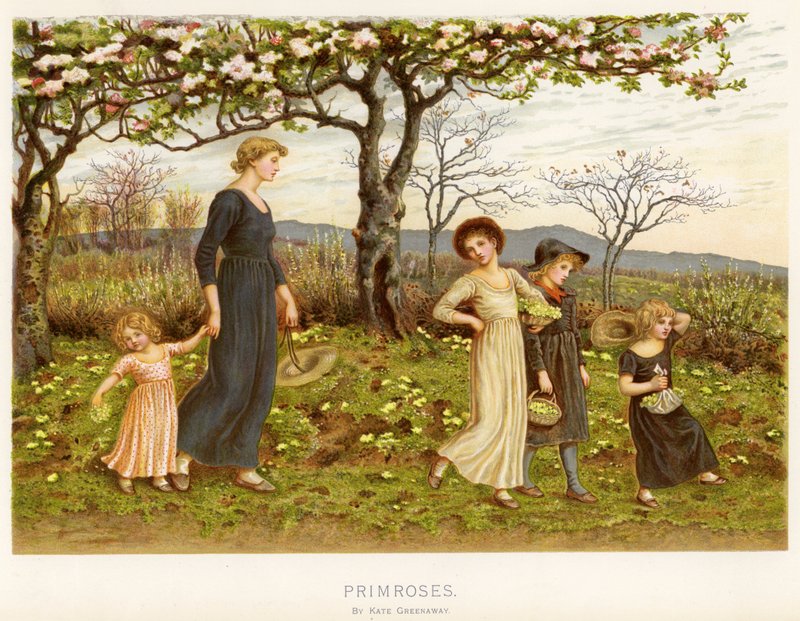 Primevères - Kate Greenaway