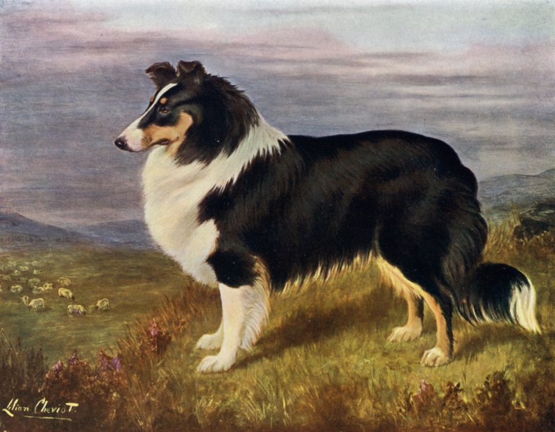 Le Révérend Hans F Hamilton