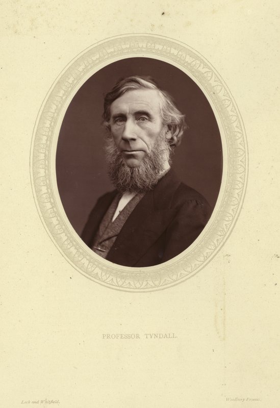 Portrait de John Tyndall - Lock and Whitfield