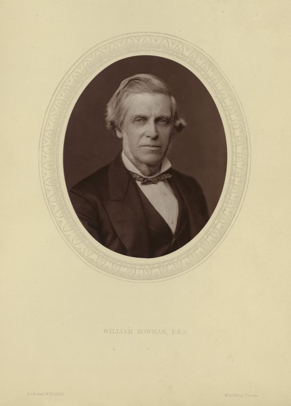 Portrait de Sir William Bowman - Lock and Whitfield