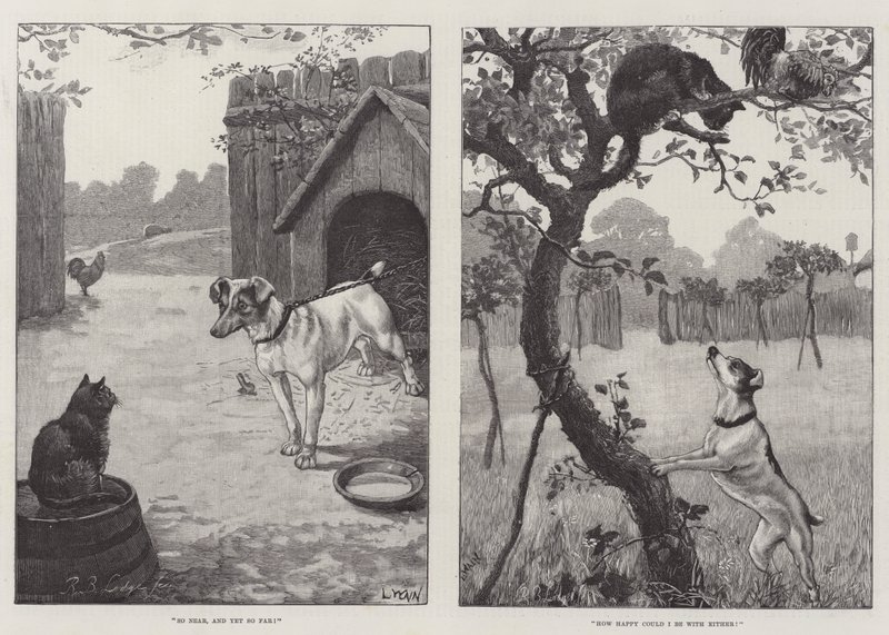 Chats et chiens - Louis Wain