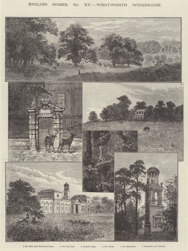 Wentworth Woodhouse - Louis Wain