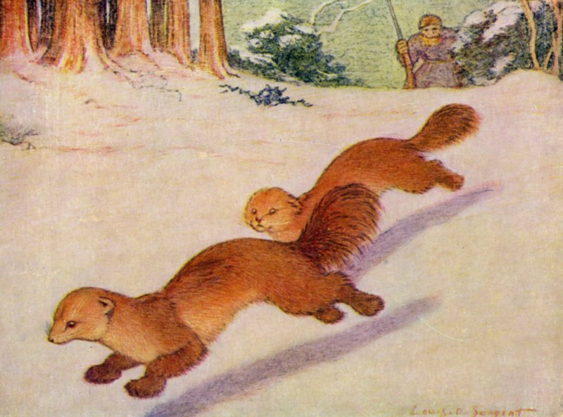 Au zoo : Martens - Louis Augustus Sargent