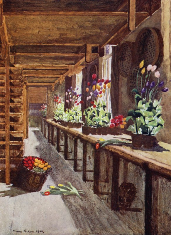 Une maison de bulbes - Mima Nixon
