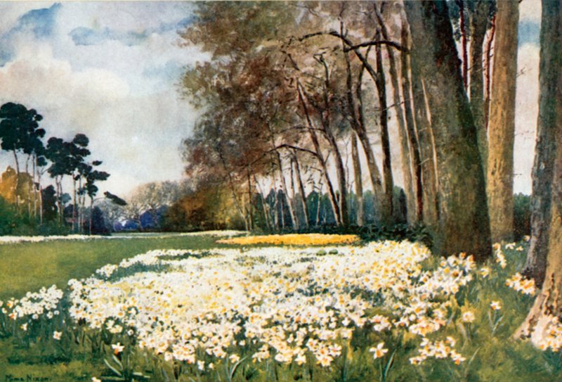 Le Parc, Sandringham - Mima Nixon