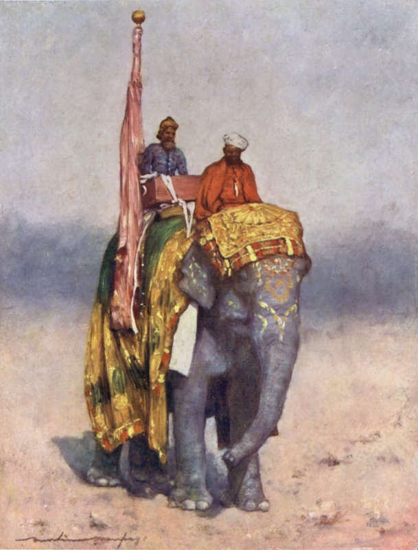 Un éléphant des déserts sablonneux de Rajputana - Mortimer Ludington Menpes