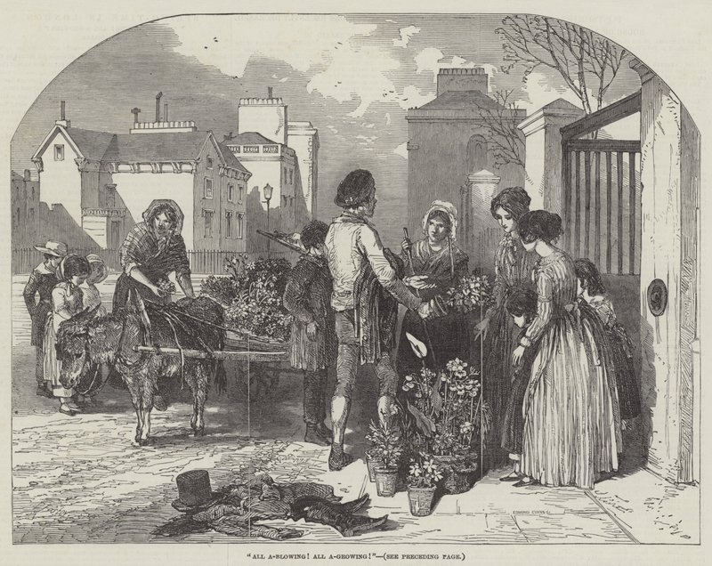Tout souffle! Tout pousse! - Myles Birket Foster