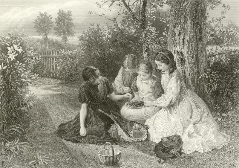 Un festin de cerises - Myles Birket Foster