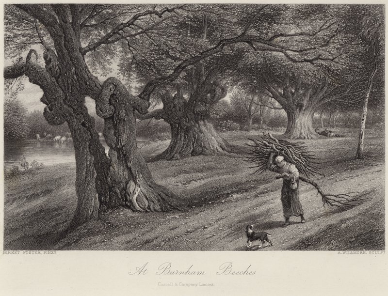 À Burnham Beeches - Myles Birket Foster