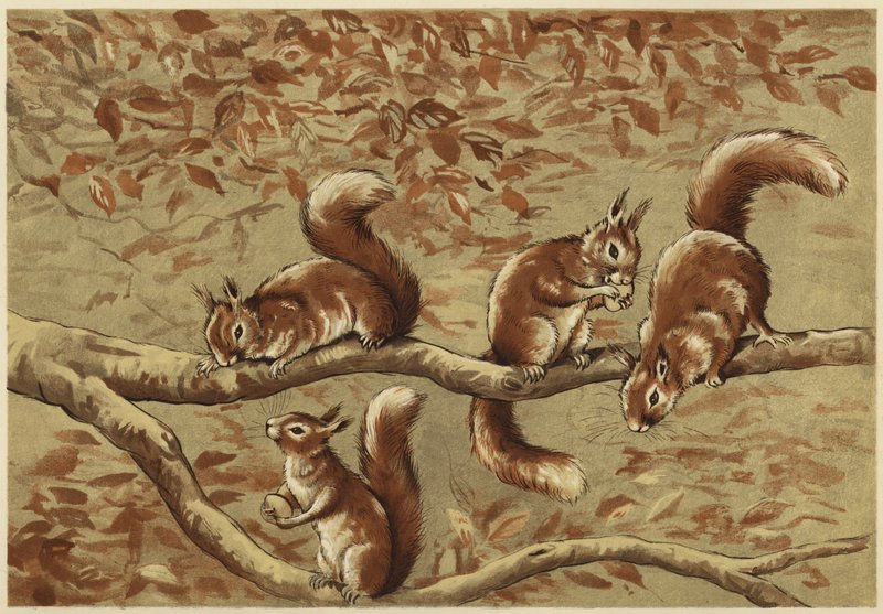 Groupe familial - N. Parker