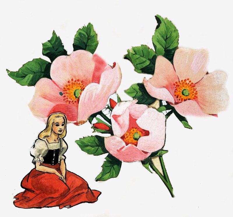 Le Petit Poucet - Nadir Quinto