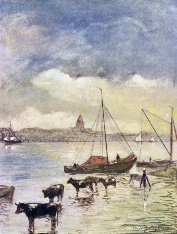 La rivière Ysel - Nico Jungman