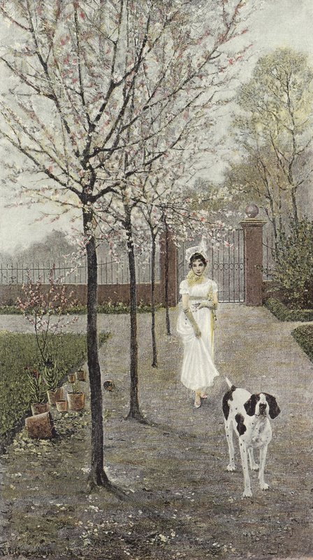 Fleurs de Printemps - Nicolaus Geiger