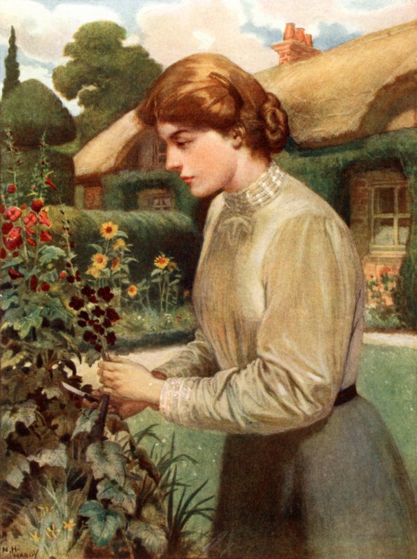 Une fille anglaise - Norman Hardy