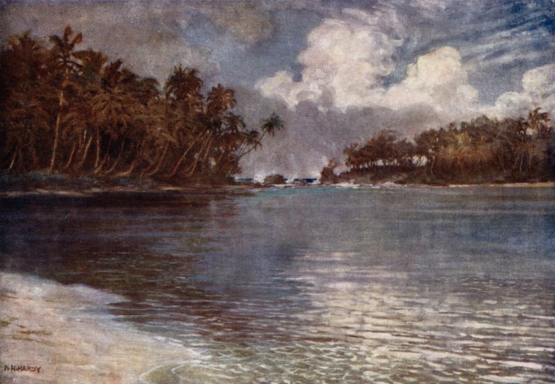 Par Récif et Palmier - Norman Hardy