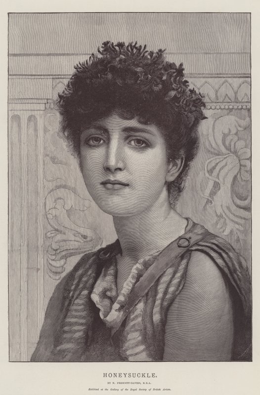 Chèvrefeuille - Norman Prescott Davies