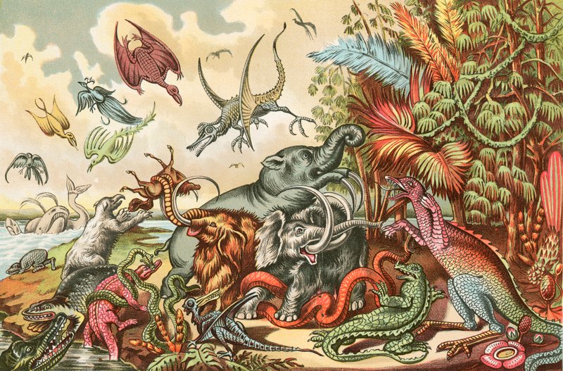Animaux et reptiles préhistoriques - North American