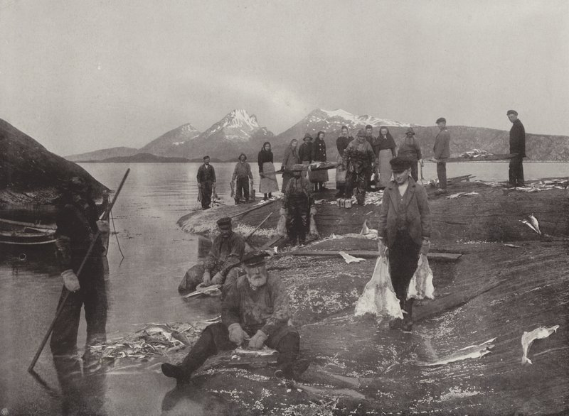 Lavage de poisson Klip - Norwegian Photographer