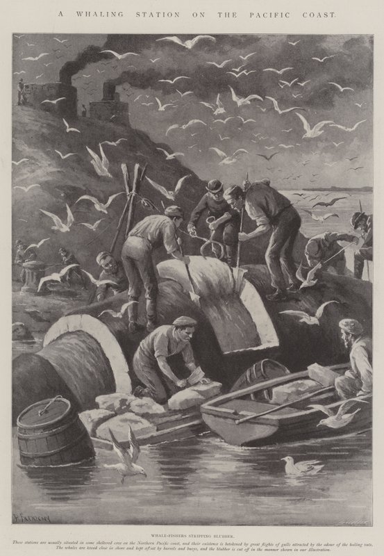 Station baleinière sur la côte pacifique - Paul Frenzeny