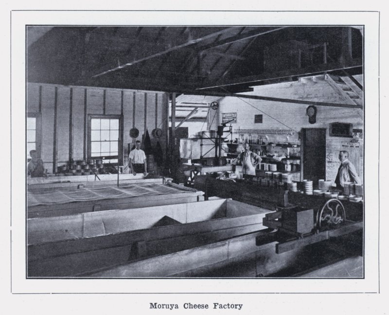Usine de fromage de Moruya - Photographer Australian