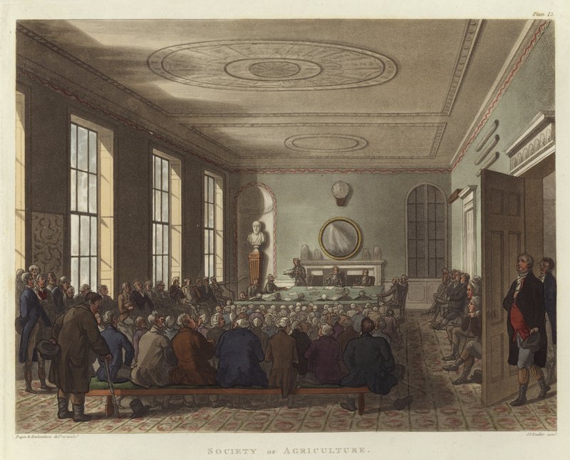 Société d