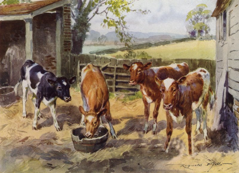 Illustration pour My Farm - Reginald Mills