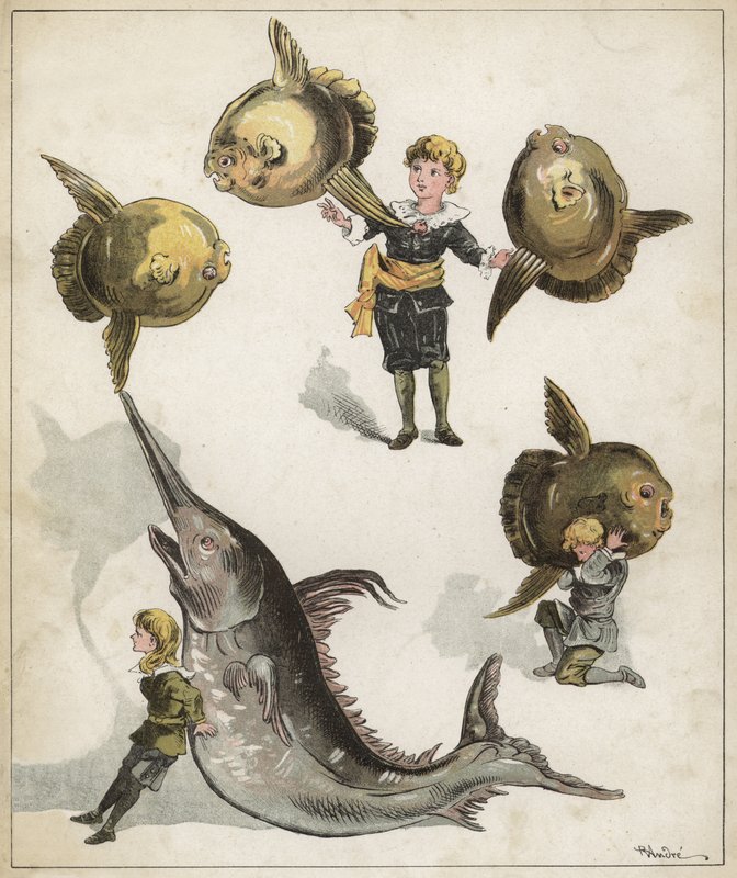 Gymnastique des poissons - Richard Andre
