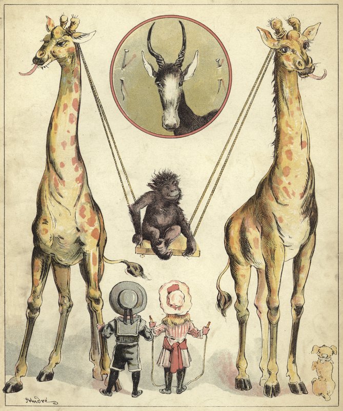 Girafes jouant avec un singe - Richard Andre