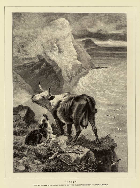 Perdu - Richard Beavis