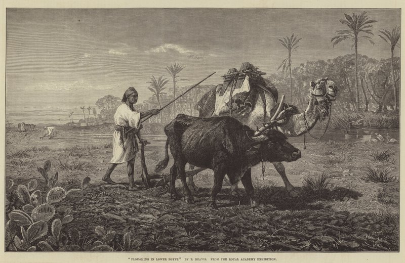 Labourage en Basse-Égypte - Richard Beavis