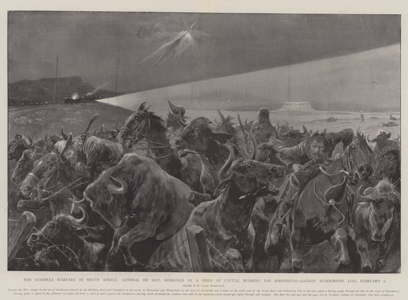 La guérilla en Afrique du Sud, le général De Wet, caché par un troupeau de bovins, attaquant la ligne de blockhaus Kroonstad-Lindley, 6 février - Richard Caton Woodville junior