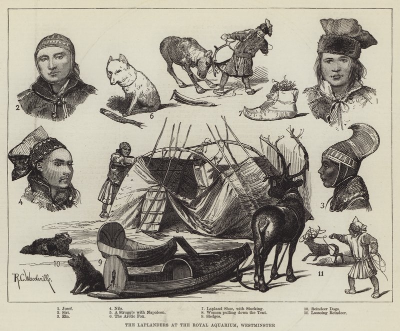 Les Lapons à l