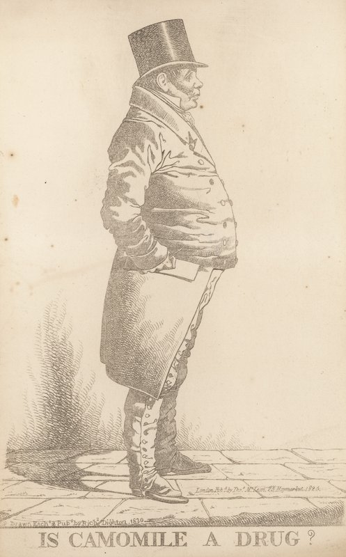 M. Bowden ; La camomille est-elle un médicament - Richard Dighton