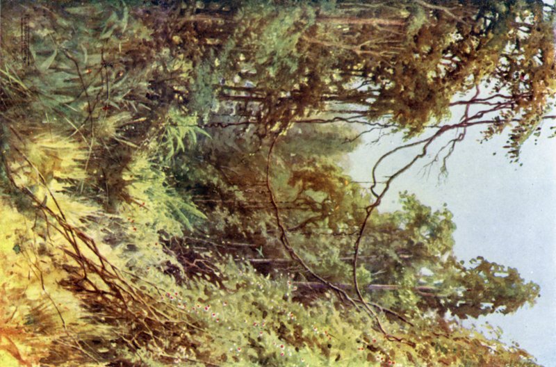 Une clairière forestière - Robert George Talbot Kelly