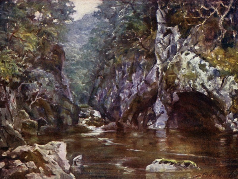 Fairy Glen, Bettws-y-Coed - Robert (after) Fowler