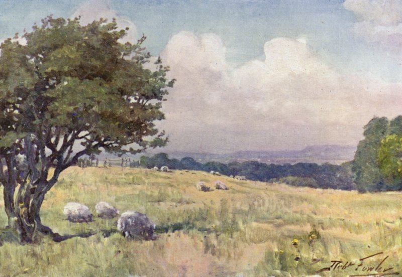 Champ ensoleillé, près de Llanberis (lithographie en couleur) - Robert (after) Fowler