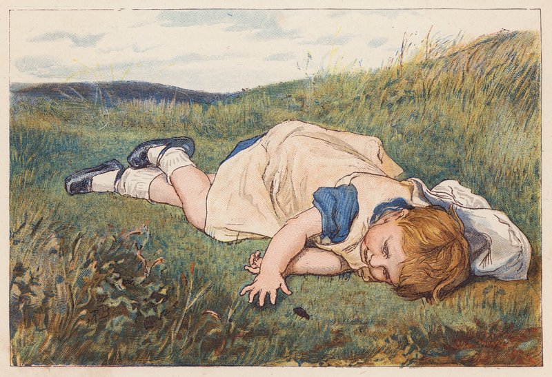 Fille fascinée par un scarabée (litho en couleur) - Robert Barnes