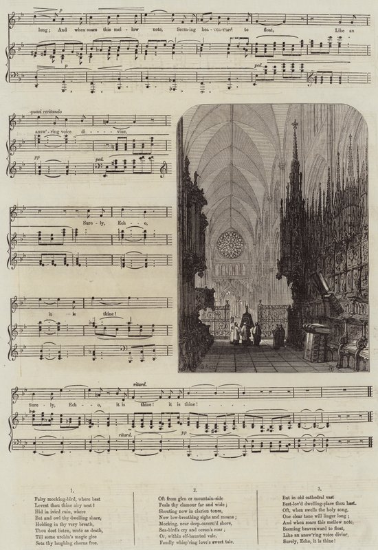 Écho - Samuel Read