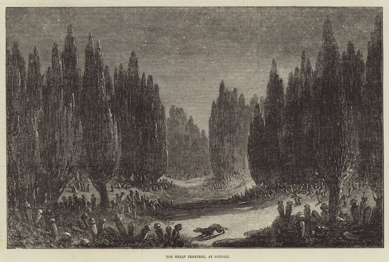 Le Grand Cimetière, à Scutari - Samuel Read