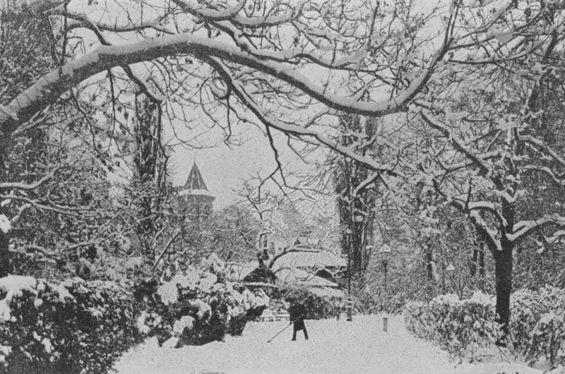 Neuchâtel, Le Jardin anglais (photo n/b) - Swiss Photographer