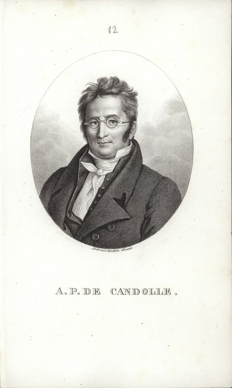 Augustin Pyramus de Candolle - Swiss School