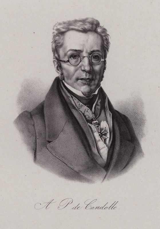 Augustin Pyramus de Candolle, botaniste suisse - Swiss School