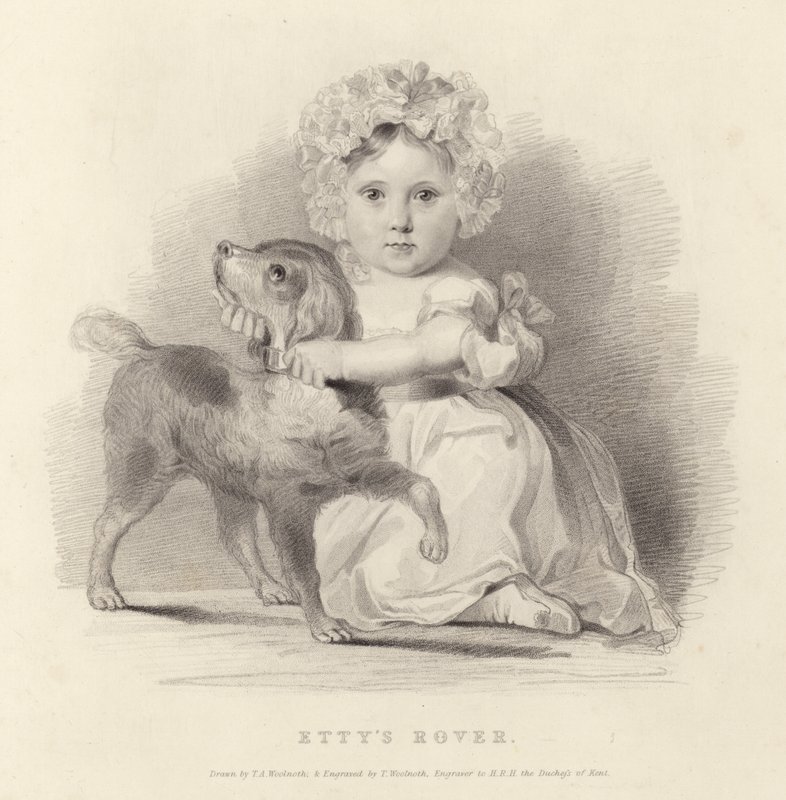 Rover d
