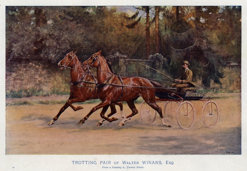 Paire de trotteurs de Walter Winans, Esquire - Thomas Blinks