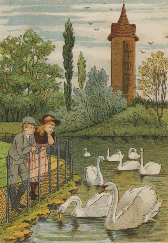 Paris : les cygnes - Thomas Crane