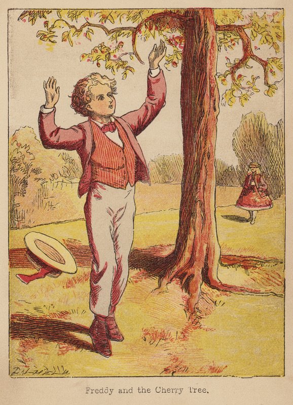 Freddy et le cerisier - Thomas Dalziel