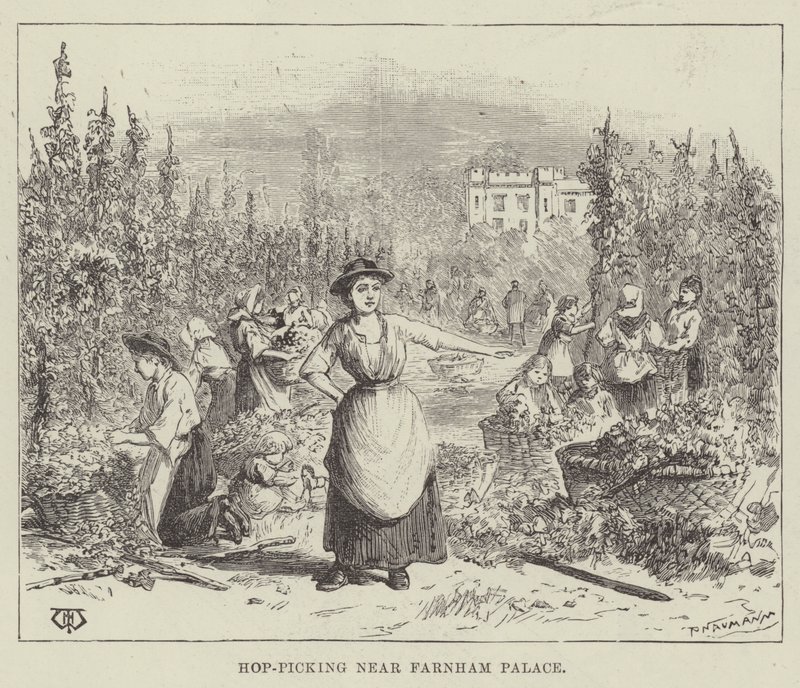 Cueillette du houblon près du palais de Farnham - Thomas Harrington Wilson