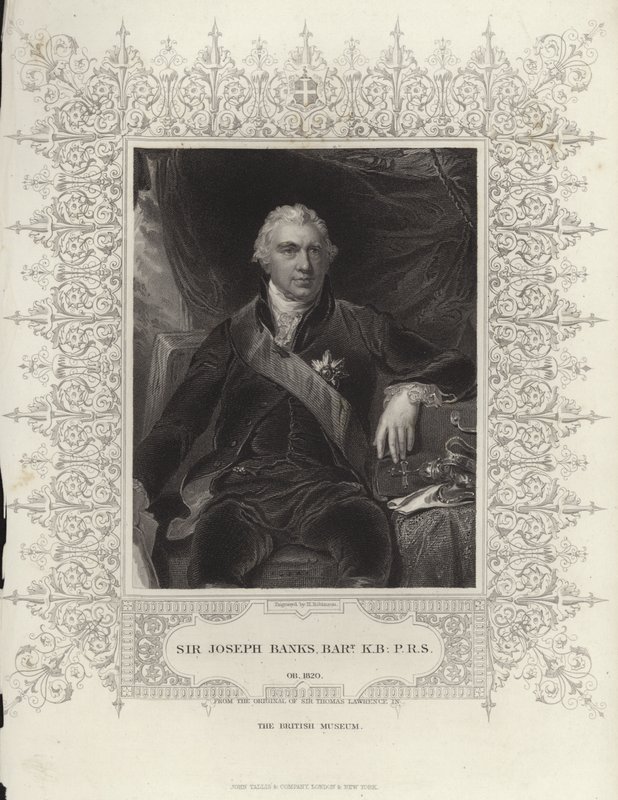 Sir Joseph Banks - Thomas Lawrence