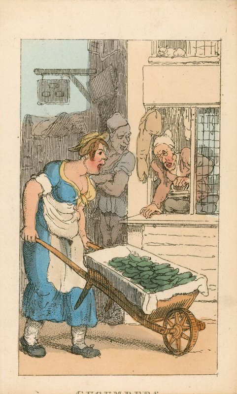 Concombres - Thomas Rowlandson